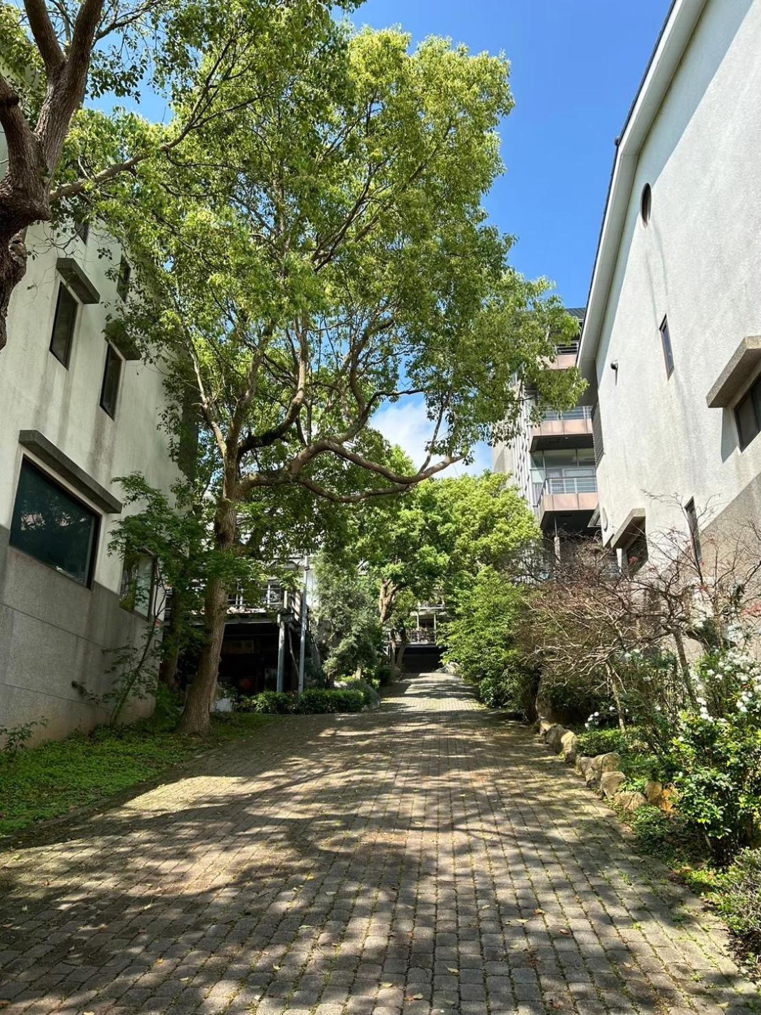 苗栗三义正在旅行民宿 外观 照片