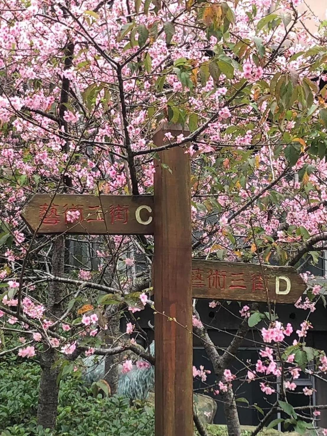 苗栗三义正在旅行民宿 外观 照片